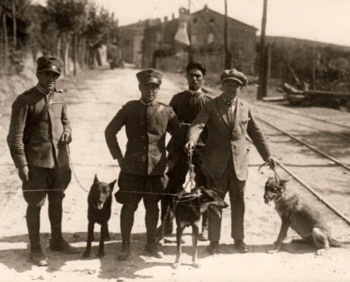 I Carabinieri con i cani lupo Eva, Piti e Cam, impiegati nella ricerca