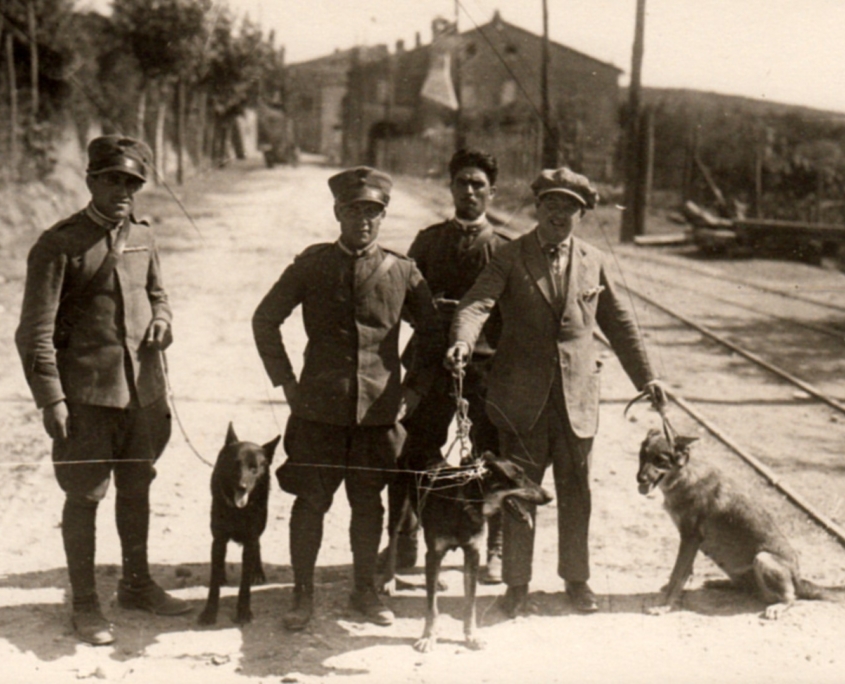 I Carabinieri con i cani lupo Eva, Piti e Cam, impiegati nella ricerca